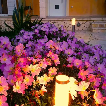 Iris Near Corfu Town Apartman *