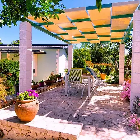 Iris Near Corfu Town