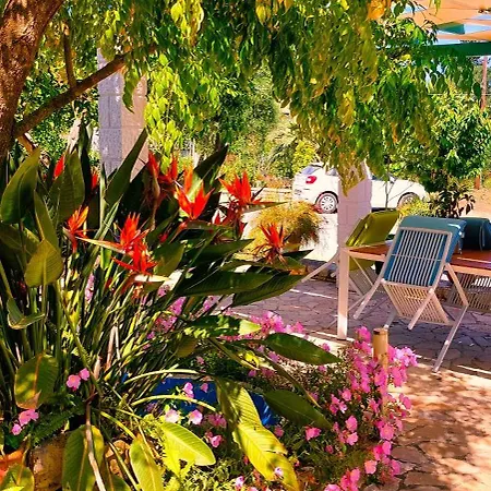 Iris Near Corfu Town Κοντόκαλι