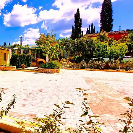 Iris Near Corfu Town