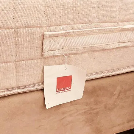 Iris Near Corfu Town *