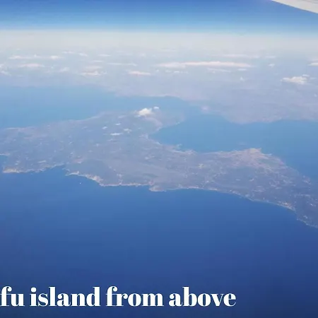 Iris Near Corfu Town