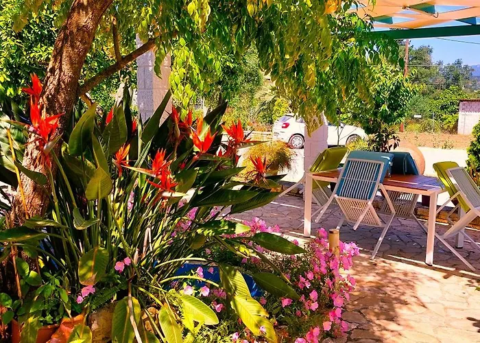 Iris Near Corfu Town Контокали